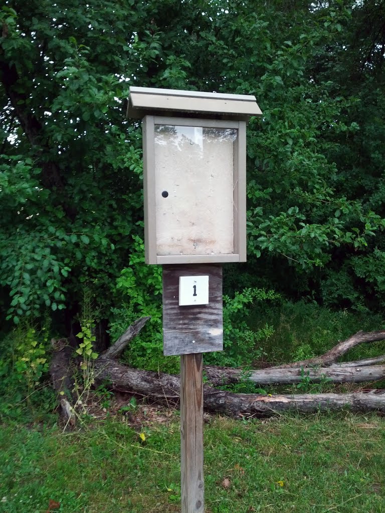 Sawyer Park disc golf sign by Rochester Parks