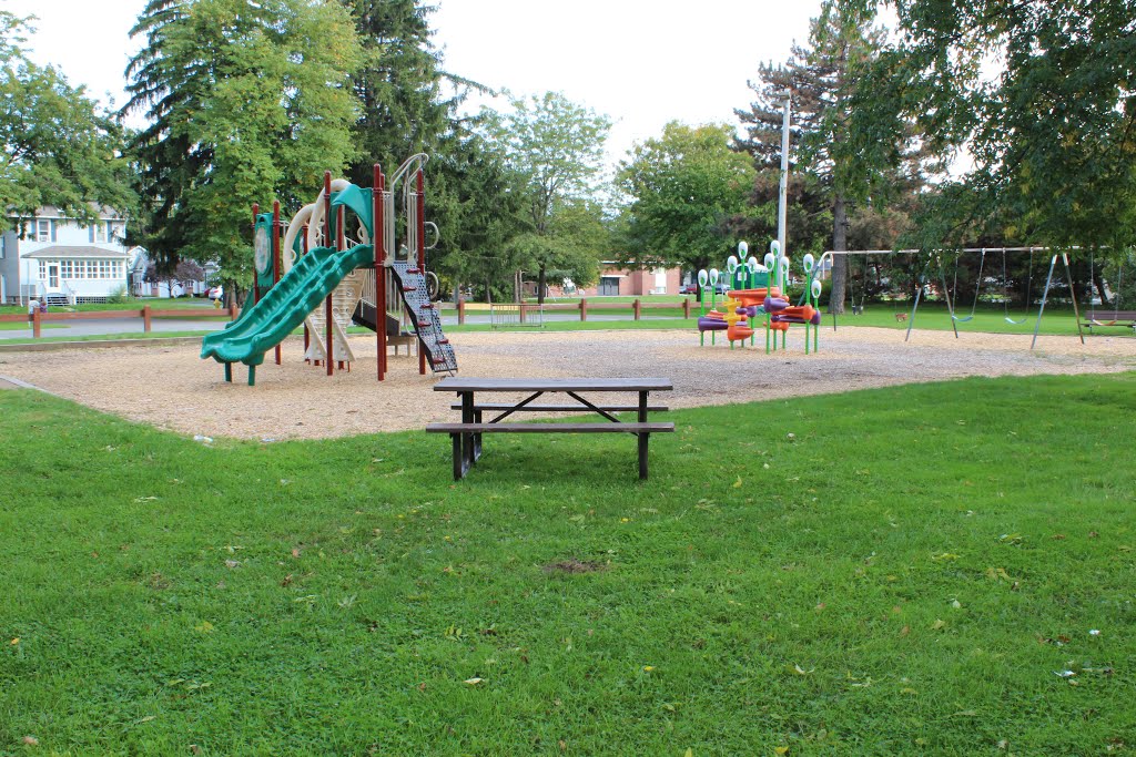 Columbus Park playground by Rochester Parks