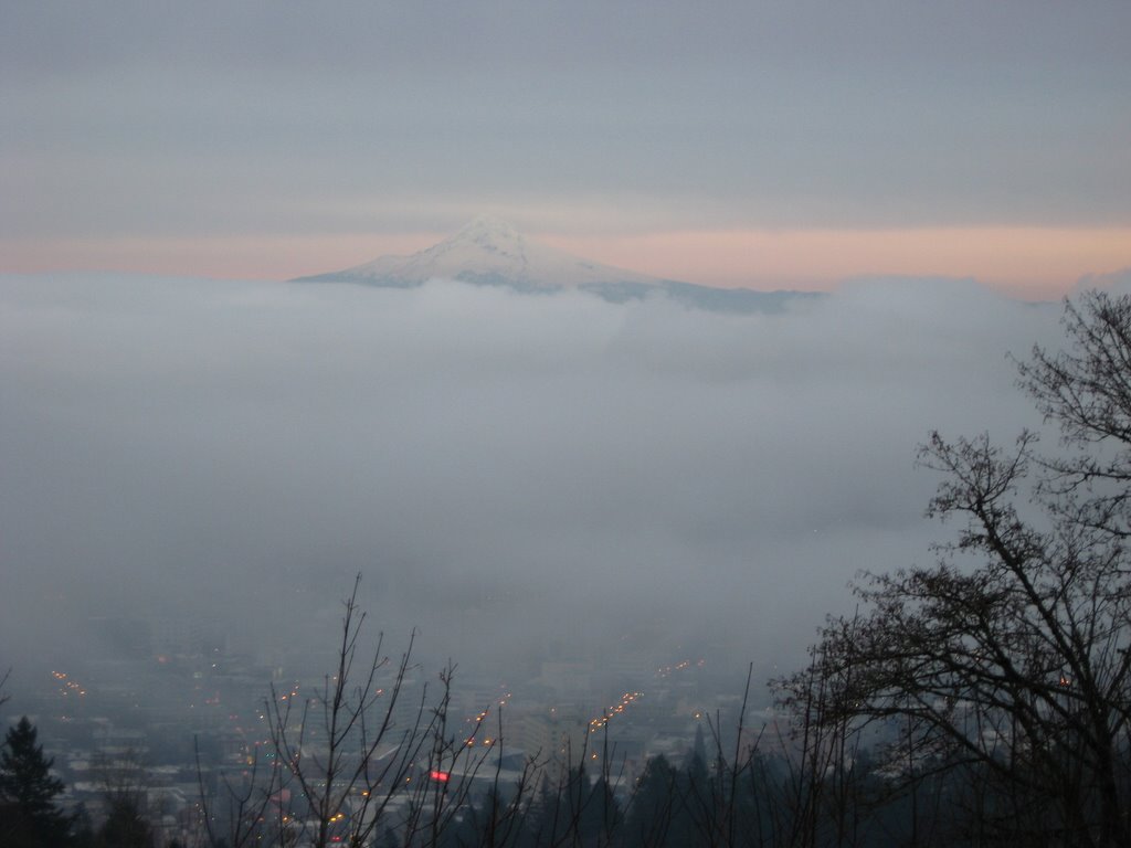 Pittock Mansion looking East by nluond