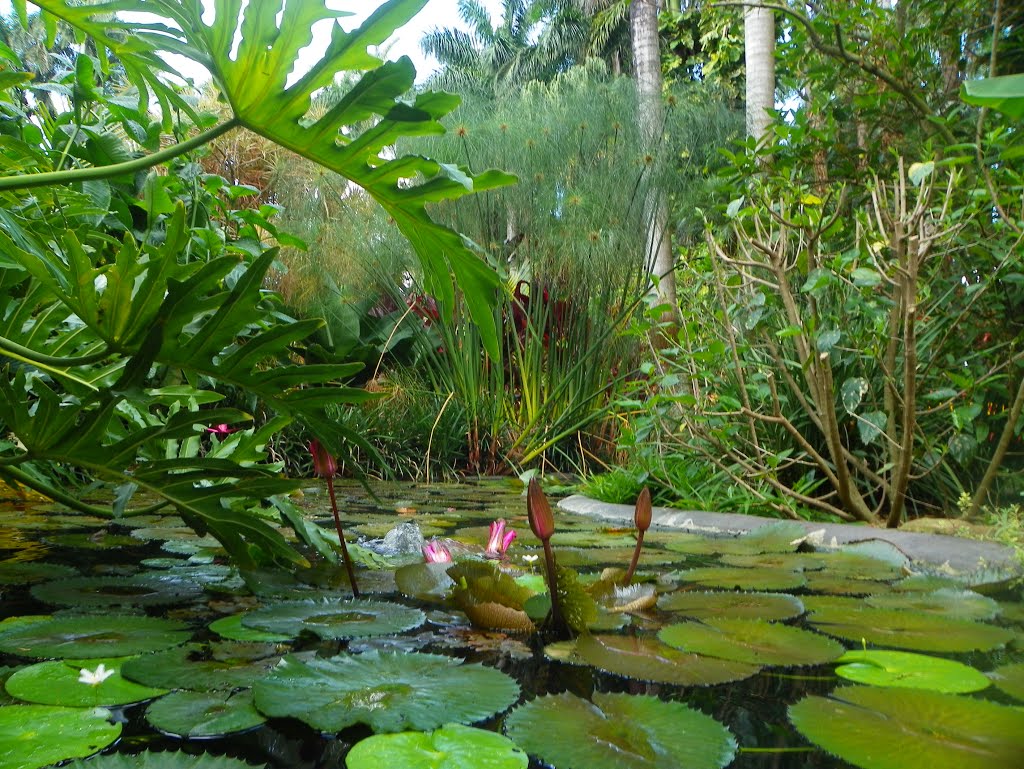 Sunken Gardens by MikeFromholt