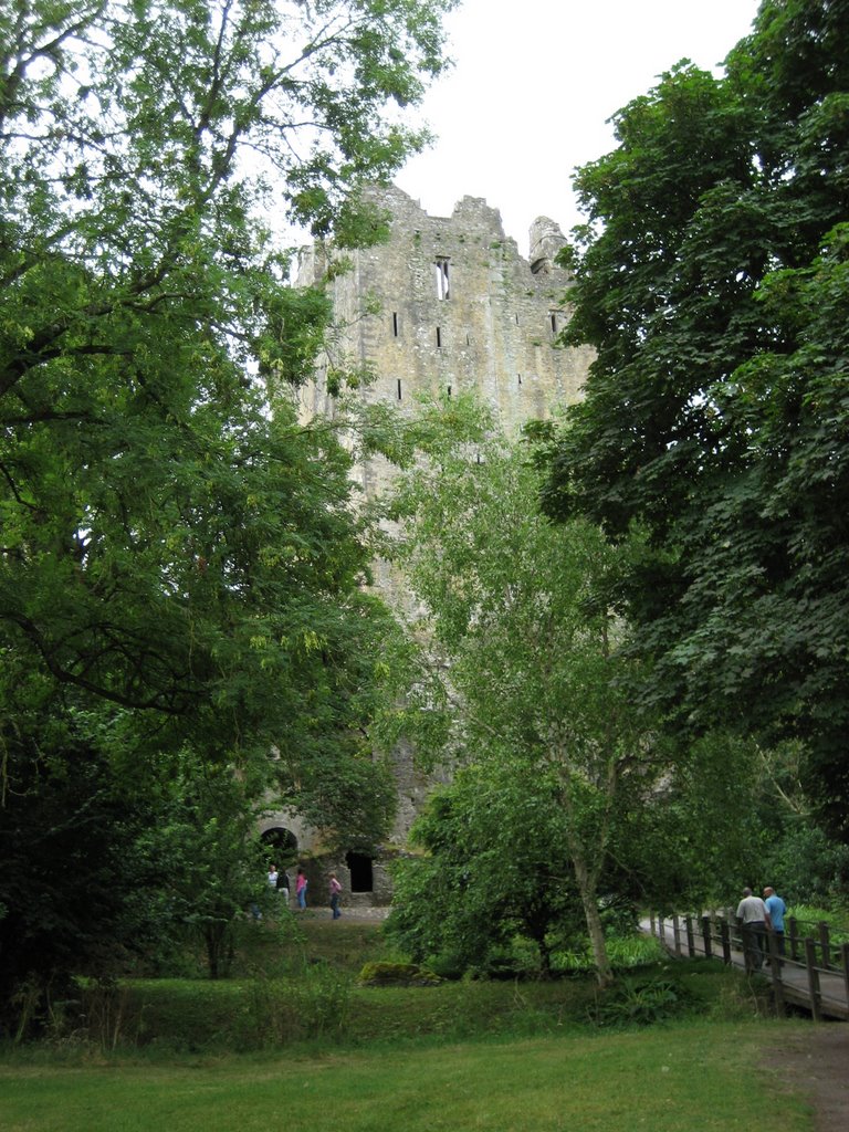 Blarney Castle by Shawn Kennedy