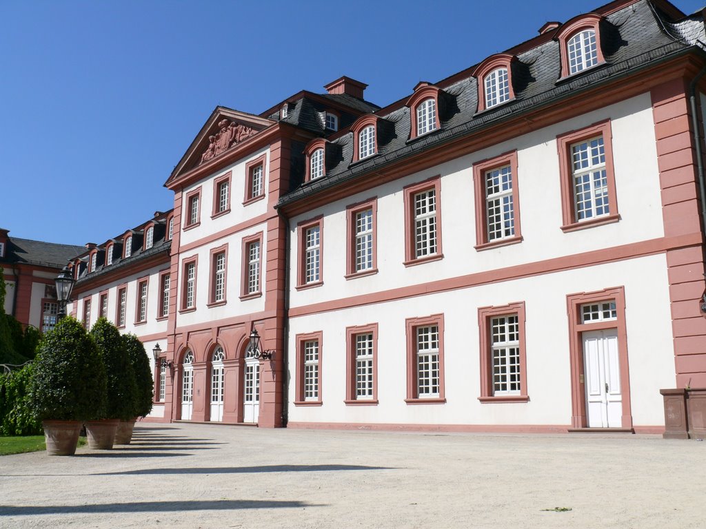 Schloss Biebrich by Johaniuz