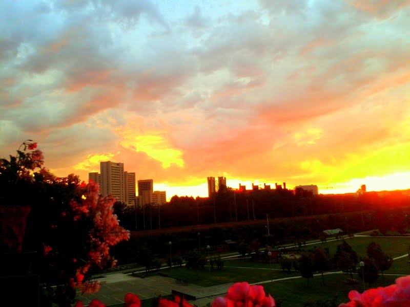 Tramonto... sul Parco S. Donnino by Laura Perinelli