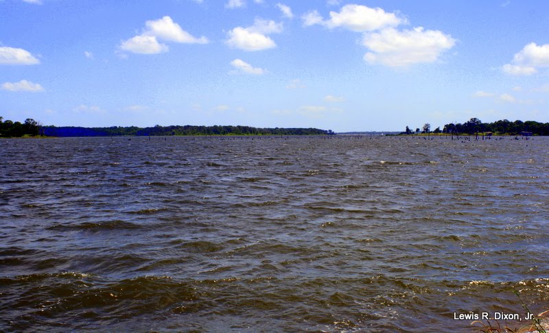 Lake Fork from FM 515 W by Xonid1