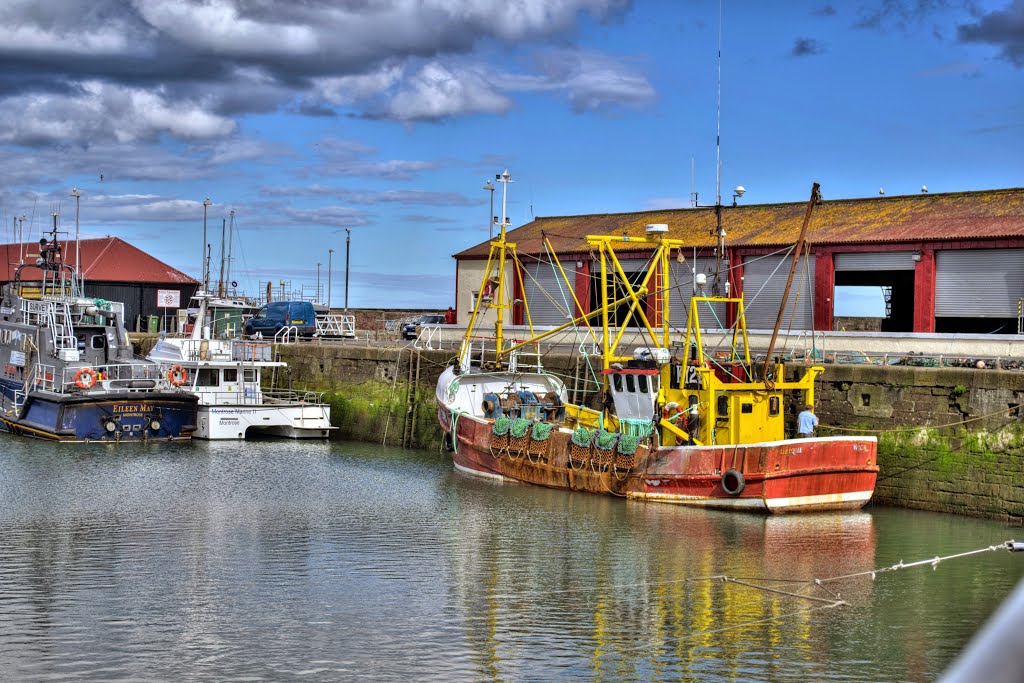 Arbroath, the harbour by Maciej Szester