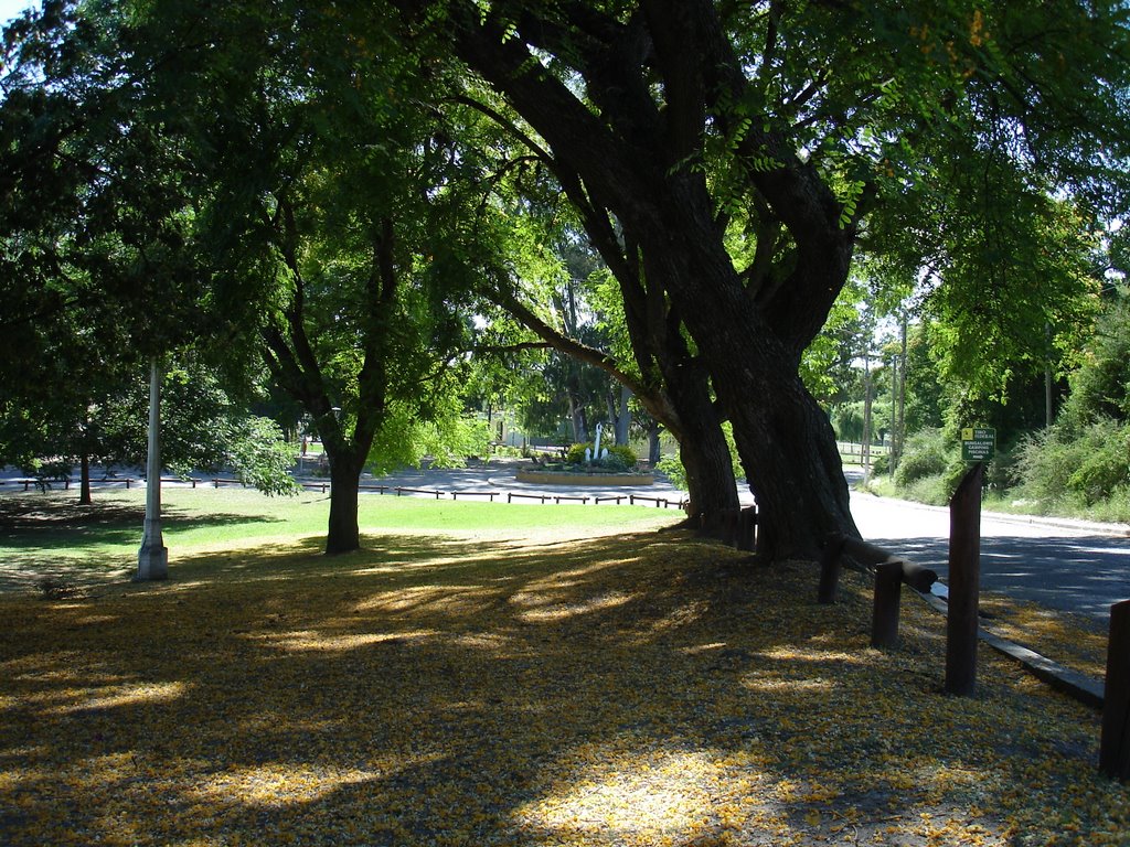 Parque en san pedro by rosaya