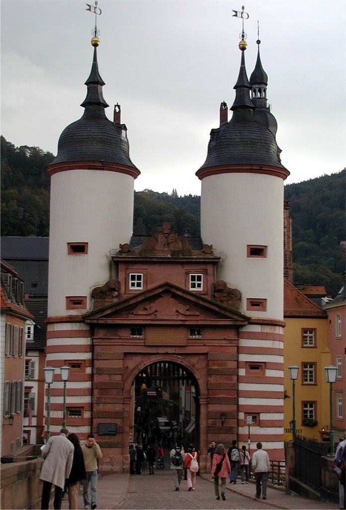 Heidelberg tor from the Theodor Heuss Brucke by John travels