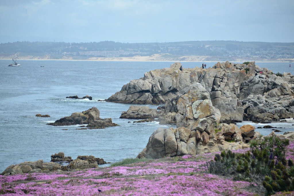 Monterey by Rodolphe Rousseaux - www.littleplanet.info