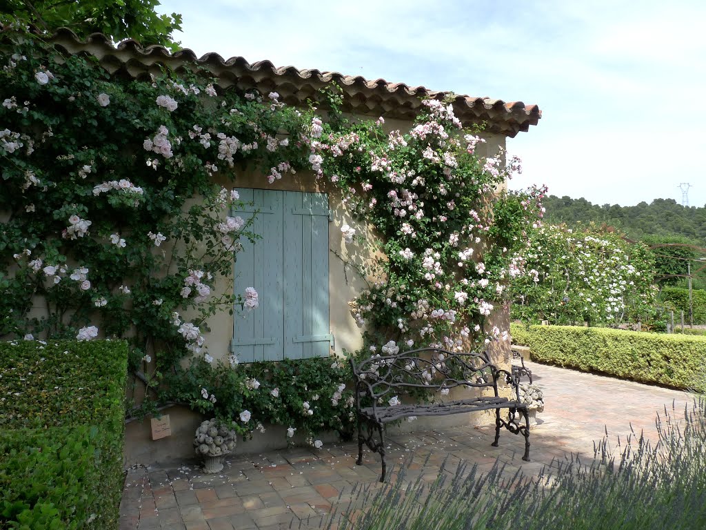 Cecile's cottage - Domaine de Val Joanis - Pertuis by Jackie Gomez-Blasco