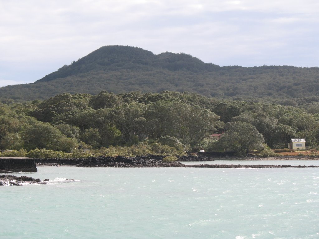 Coming up to the wharf on Rangitoto by Dave Moran