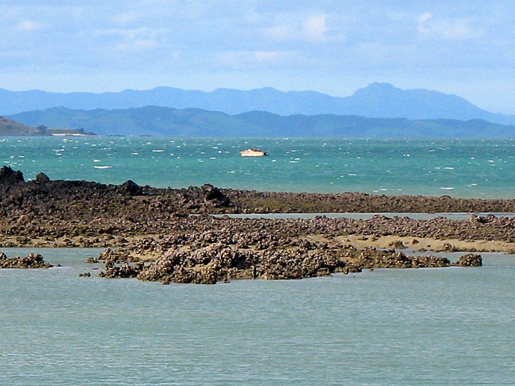 View 2 from Rangitoto by Dave Moran