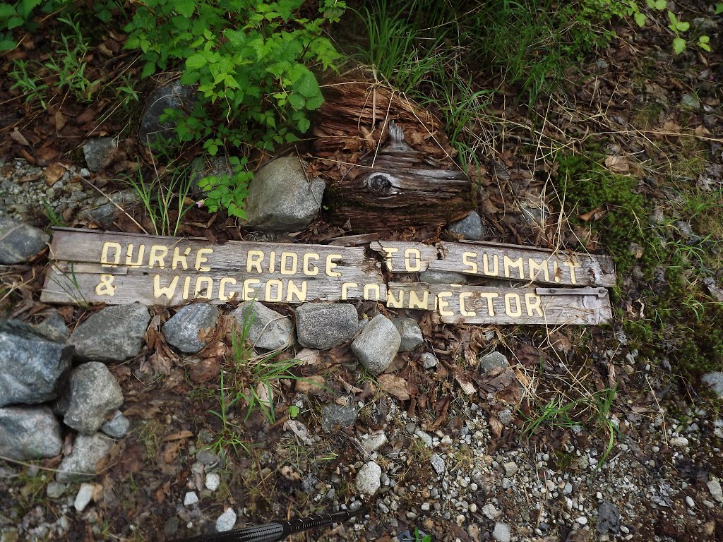 Old Trail Sign, 6/11/2014 by Wester