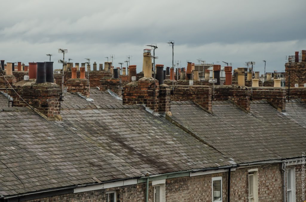 Roofs of York (2012) by Alexander Kachkaev