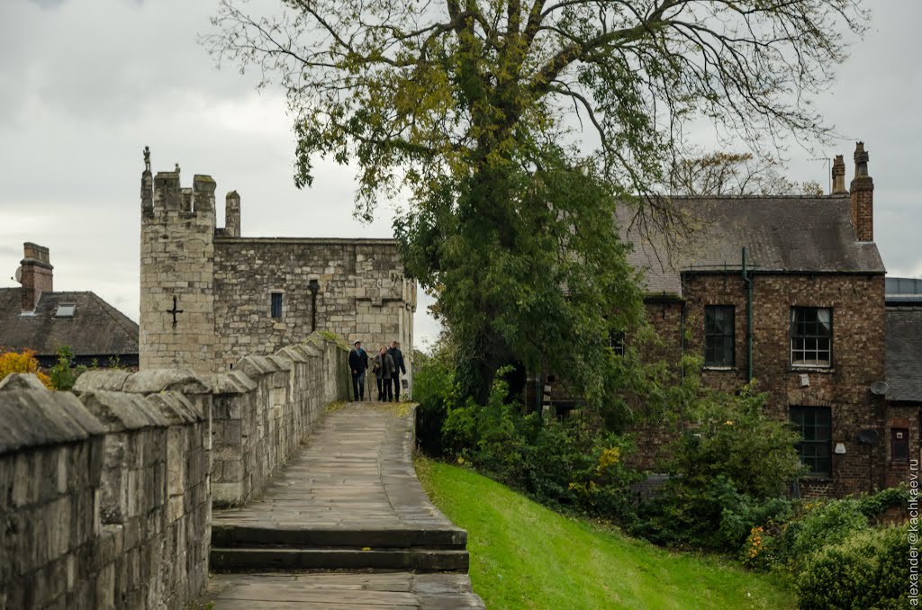 York City Wall (2012) by Alexander Kachkaev