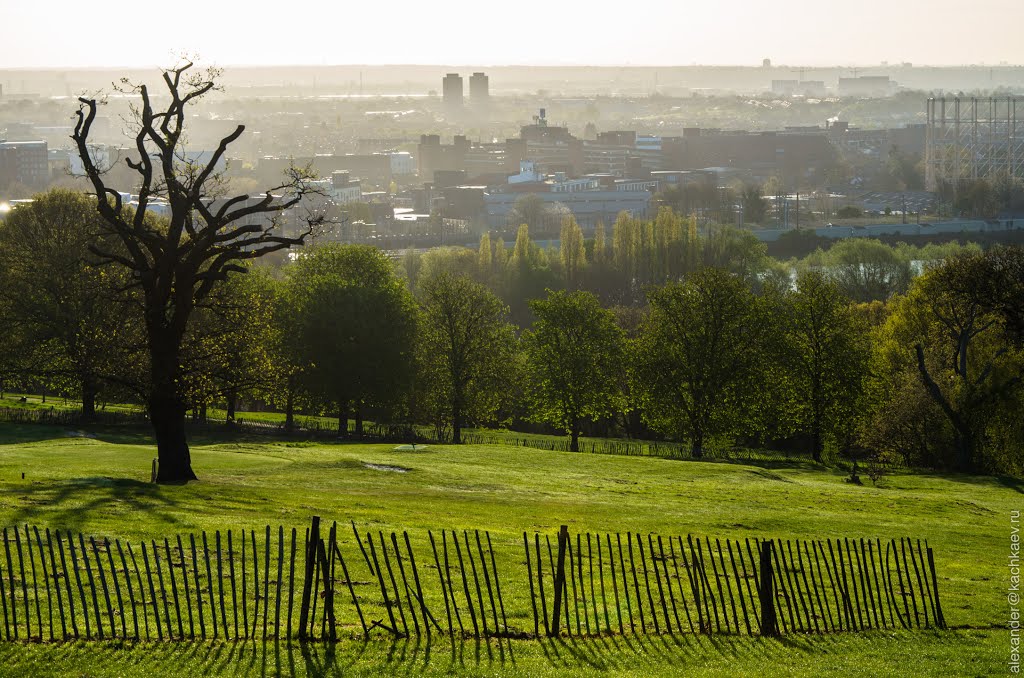 London from Alexandra Park in the early morning (2012) by Alexander Kachkaev