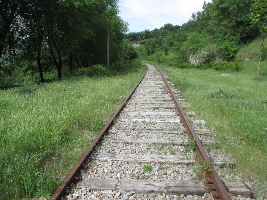 La via del tren abandonada by pintatrenes