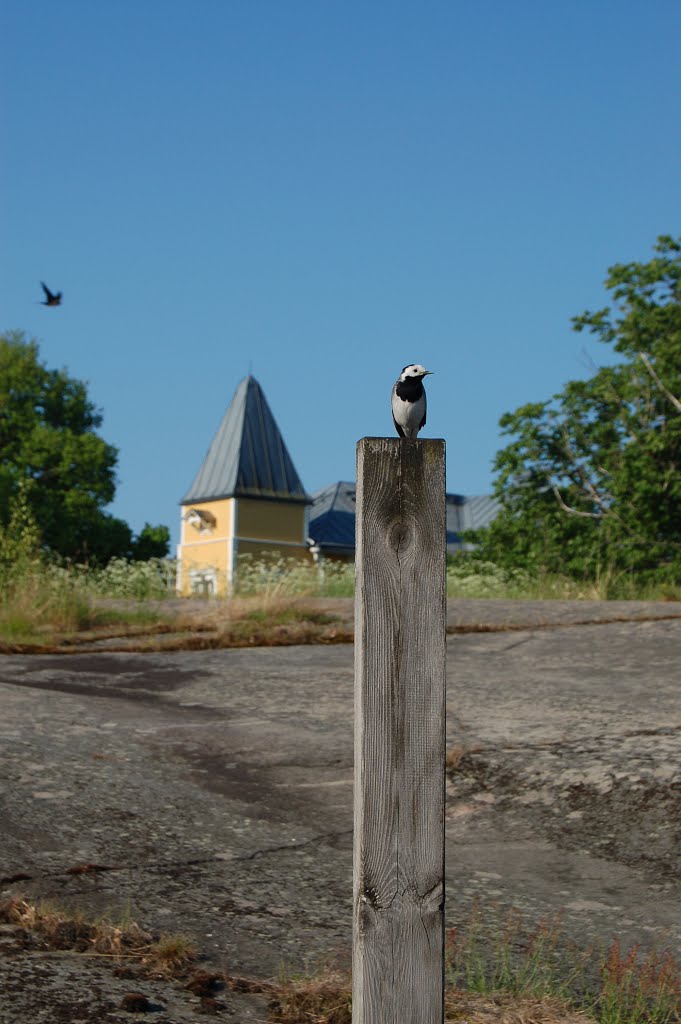 Tvärminne, Hanko, Finland by Patrik Kraufvelin