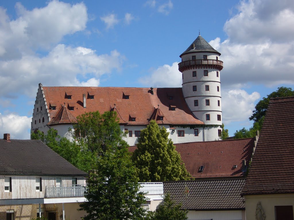 Schloss Rimpar I by Mauerschwalbe