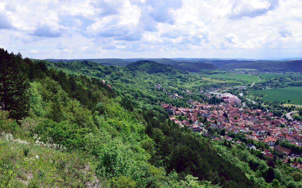 Treffurt mit Burg Normannstein by Hans Ulrich H