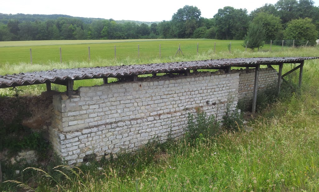 Ancien mur by Pigeon voyageur