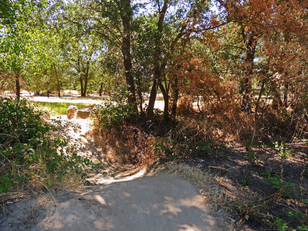 Linda Creek in Roseville, CA by Steve Schmorleitz, NationalParkLover.com