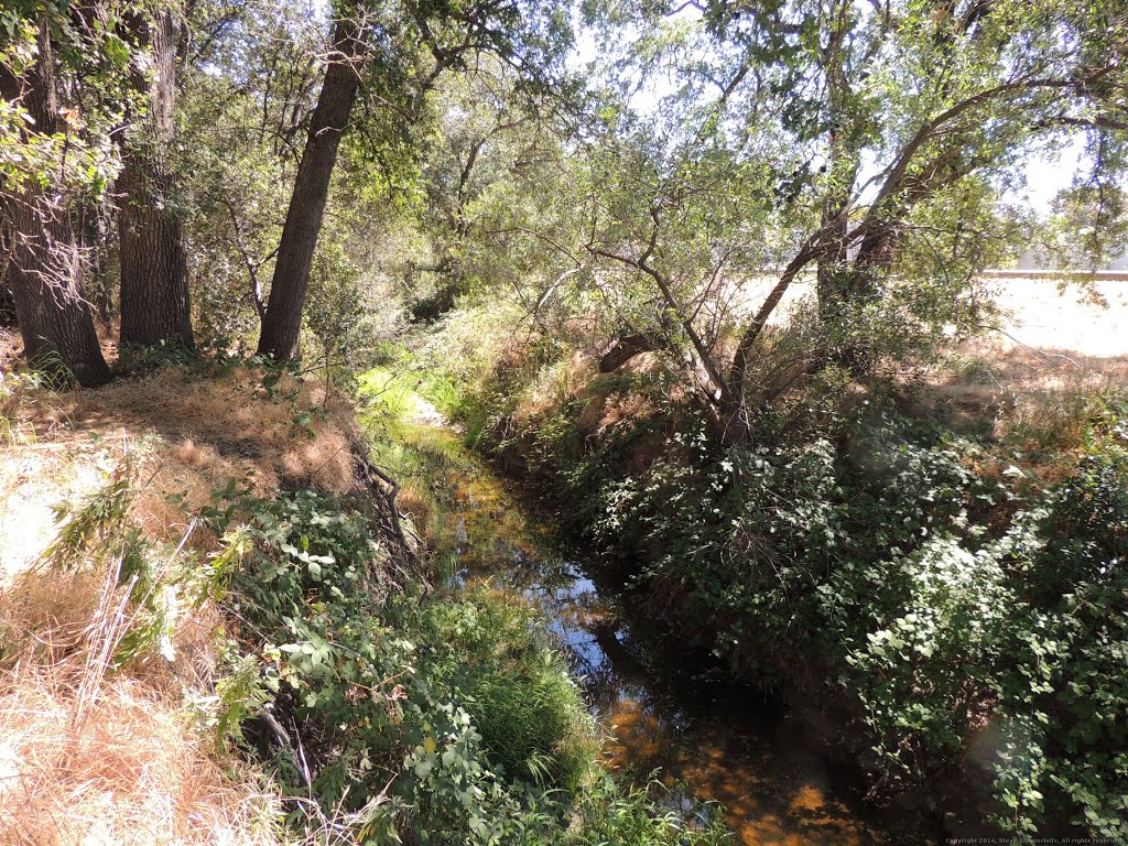 Linda Creek in Roseville, CA by Steve Schmorleitz, NationalParkLover.com