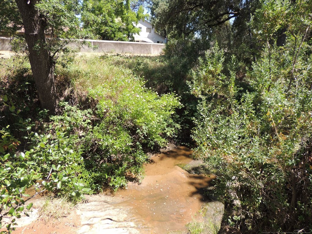 Linda Creek in Roseville, CA by Steve Schmorleitz, NationalParkLover.com