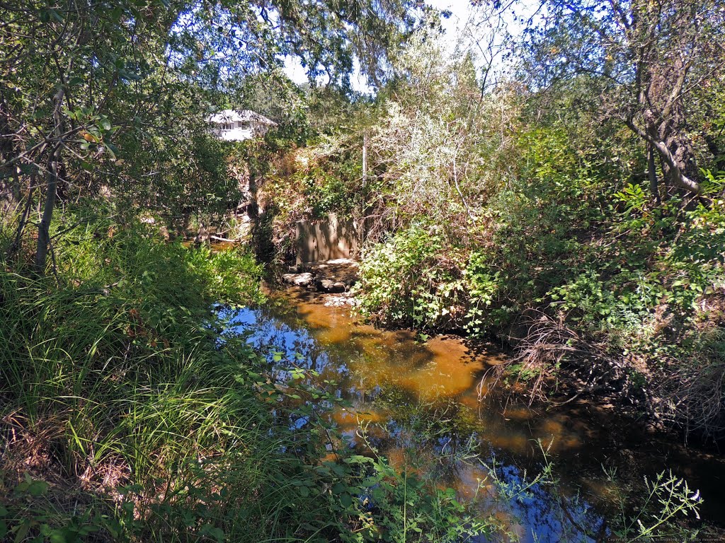 Linda Creek in Roseville, CA by Steve Schmorleitz, NationalParkLover.com