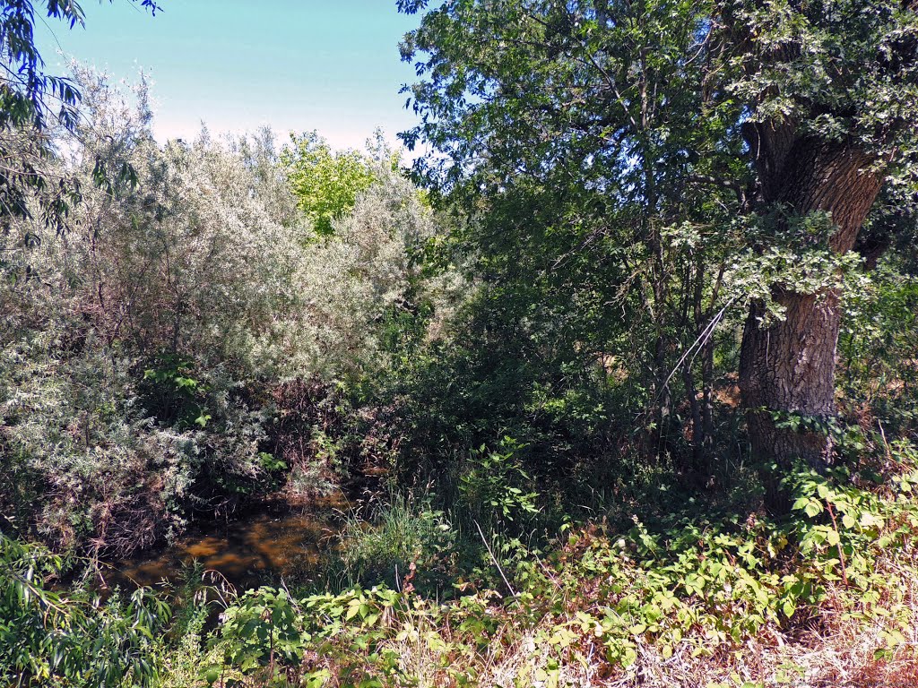 Linda Creek in Roseville, CA by Steve Schmorleitz, NationalParkLover.com