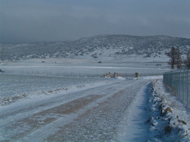 Padiernos nevado by evapadi