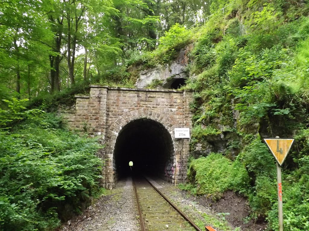 Hoennetal railway tunnel w/ Tunnelhoehle, Jun 2014 by Baltes3000