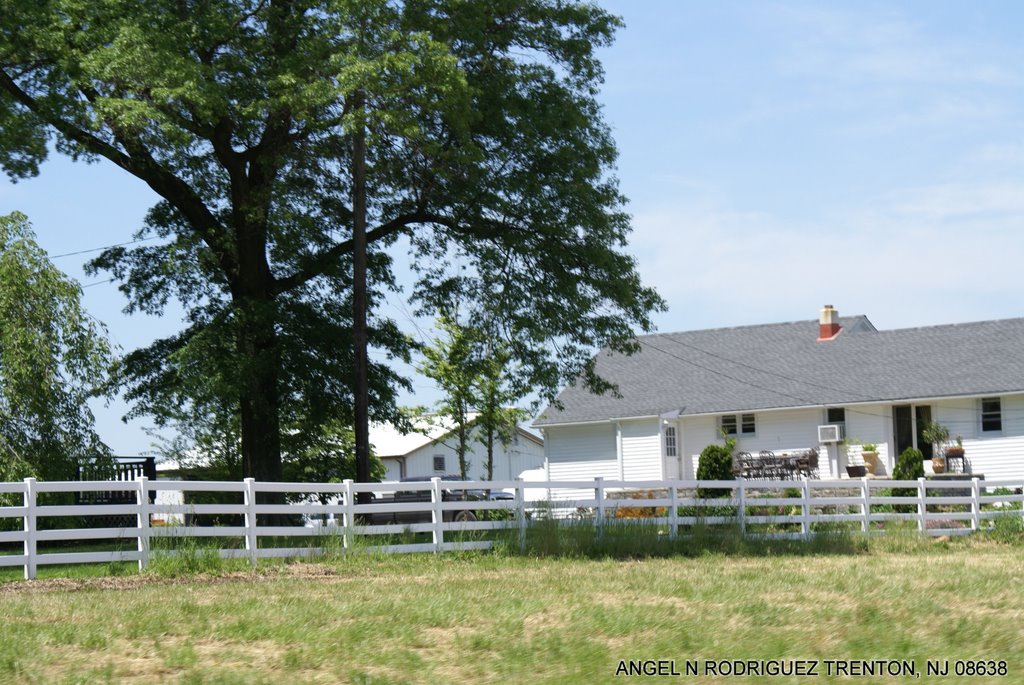 GORDON DEY FARM CRANBURY, NJ by ANGEL N RODRIGUEZ