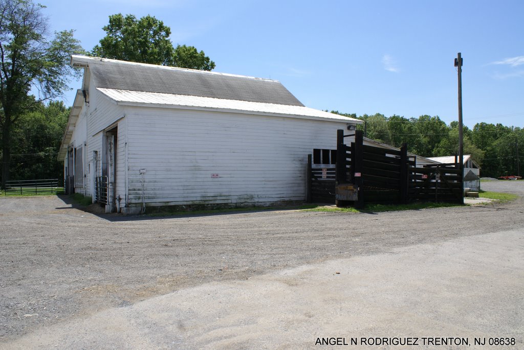 GORDON DEY FARM CRANBURY, NJ by ANGEL N RODRIGUEZ