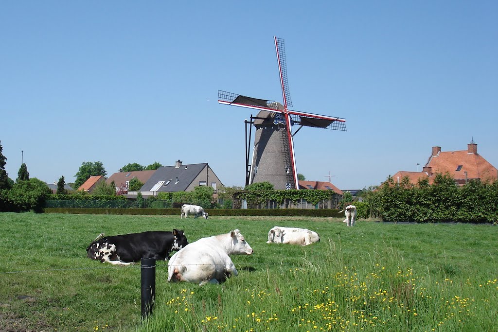 Molen-Hapert-korenmolen-stenengrondzeiler by Sjeng