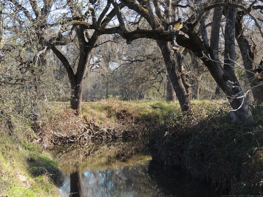 Linda Creek by Steve Schmorleitz, NationalParkLover.com