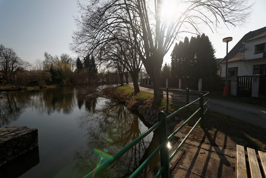 Horšovský Týn - Žižkova - View SW - Radbuza River by txllxt