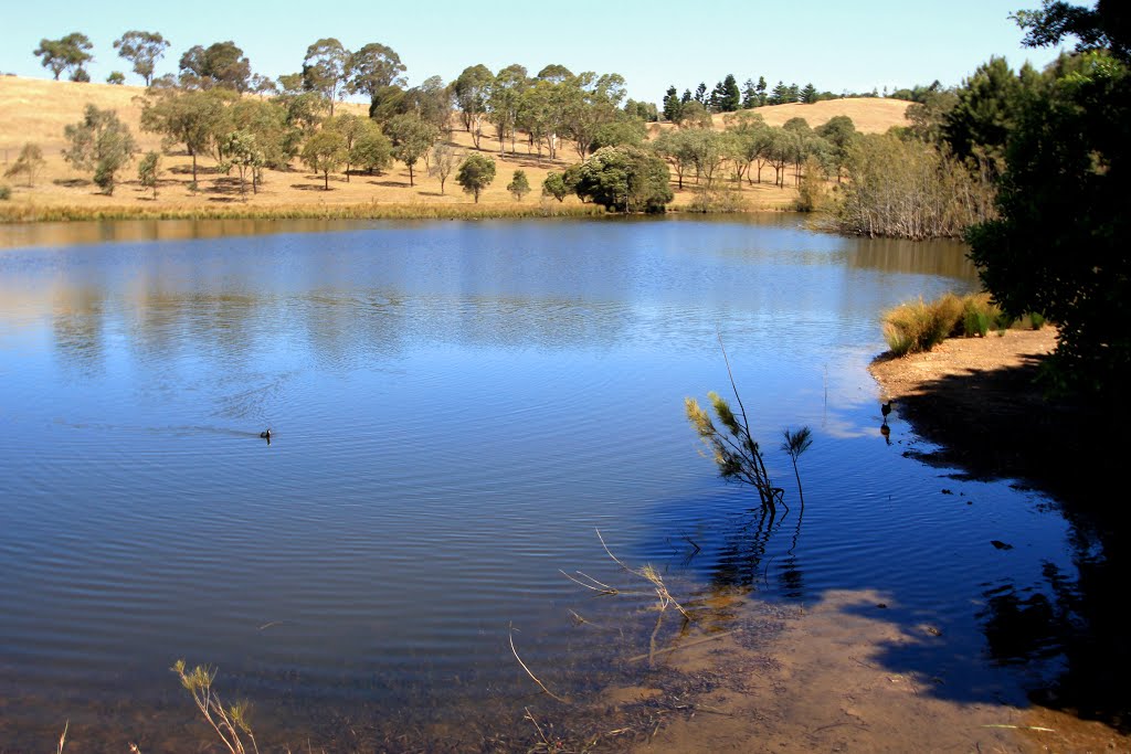 Lake Fitzpatrick by Roger Powell