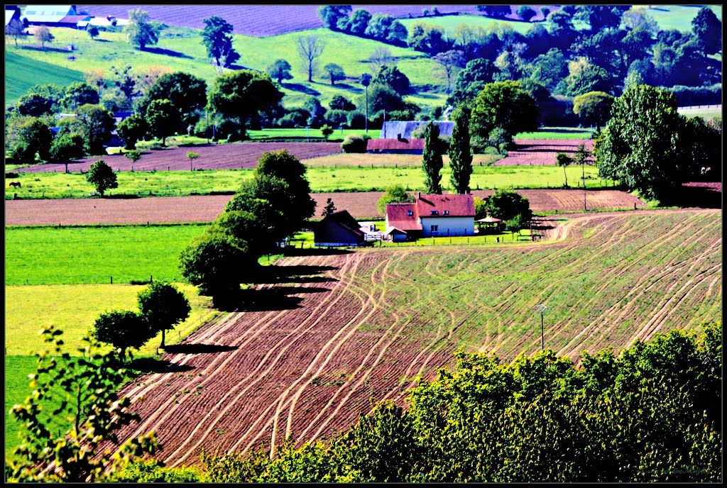 Basse Normandie, France by © cvandermeijden