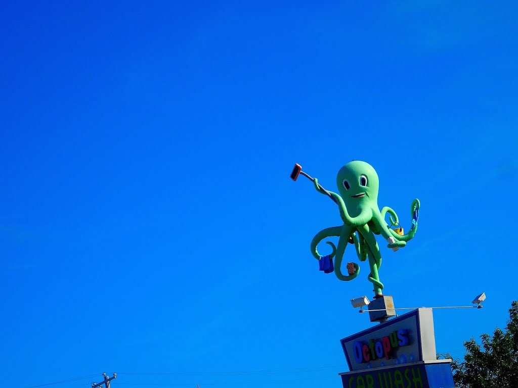 Octopus Car Wash Statue by Corey Coyle