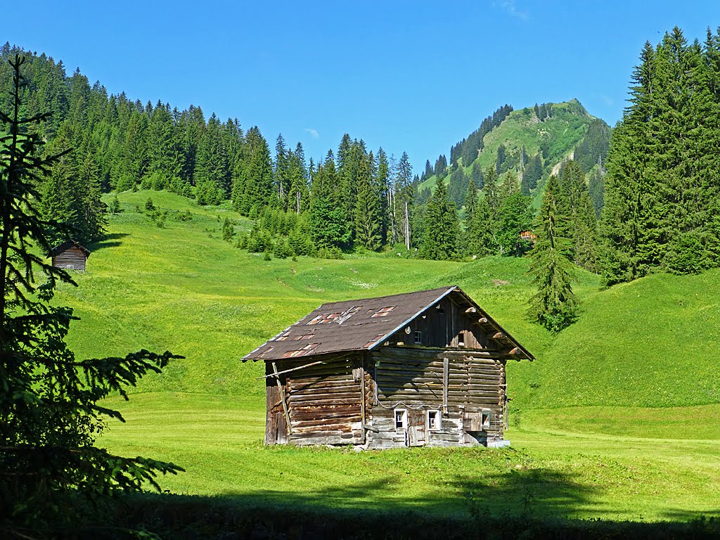 Auf der Alm by RSchuetz