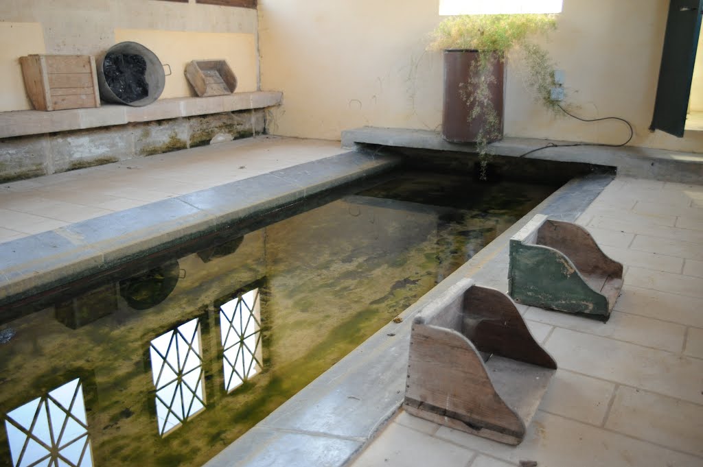 Lavoir de Lavoye by Dominique Salé