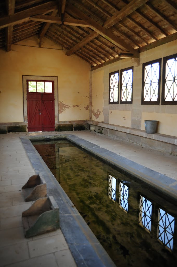 Lavoir de Lavoye by Dominique Salé