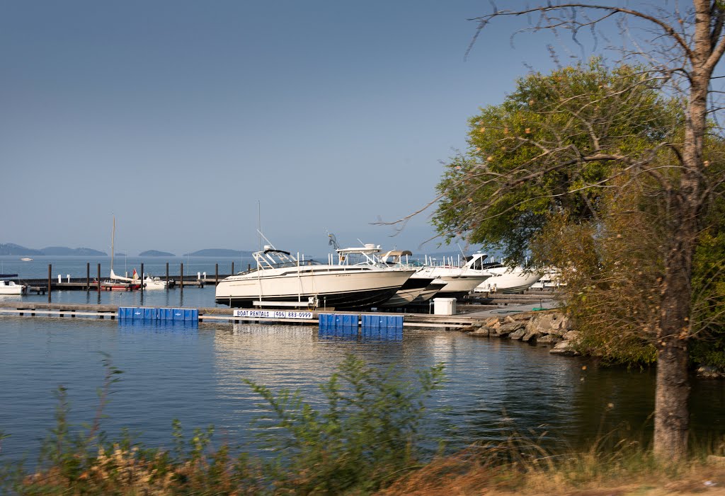 Marina - flathead lake by Karen Granoski