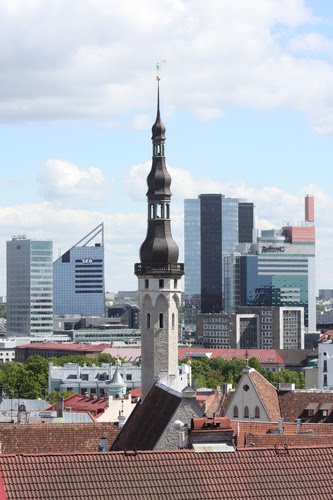 Tallinn: Torre del Municipio by Carlo Pelagalli