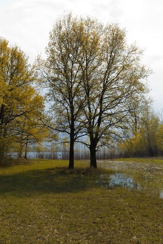 Stavropolsky District, Samara Oblast, Russia by Александр Ургалкин