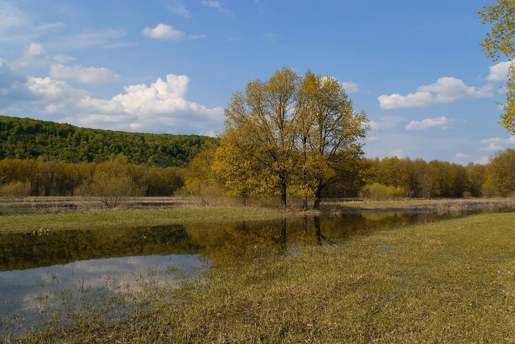 Stavropolsky District, Samara Oblast, Russia by Александр Ургалкин