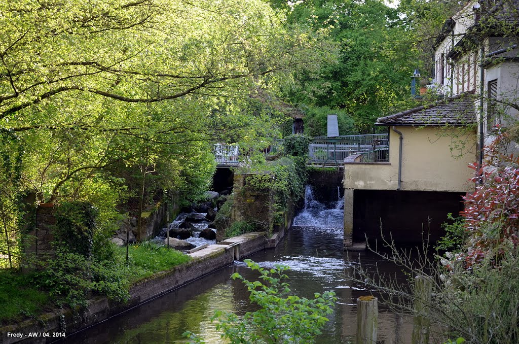 Berg - Mühle mit Fischtreppe by Fredy - AW