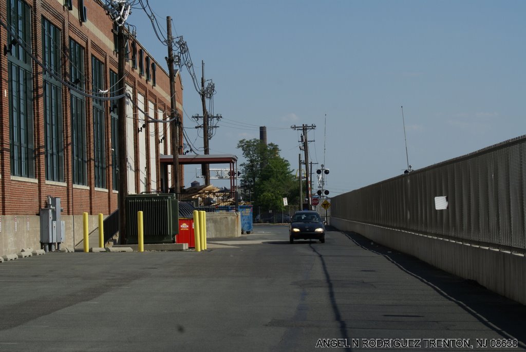 BACK OF ROEBLING MARKET by ANGEL N RODRIGUEZ