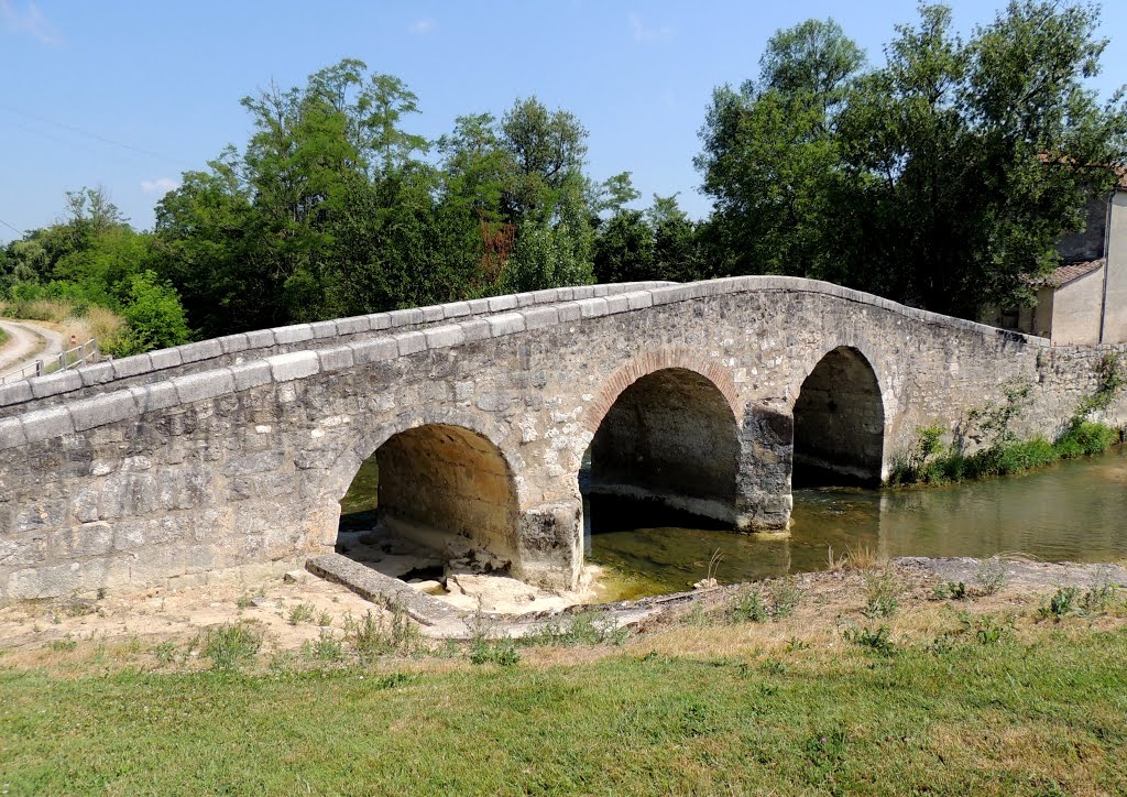 47 PENNE D'AGENAIS - Pont Gallo-Romain à Payssel. by Jean THIERS