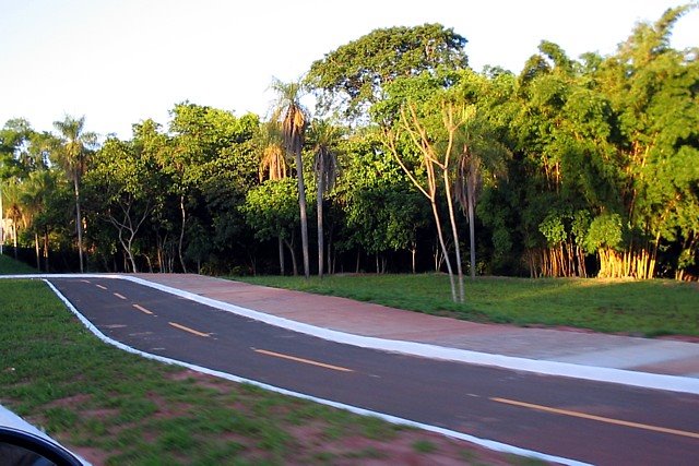 Ciclovia na av. Via Park by Work Island